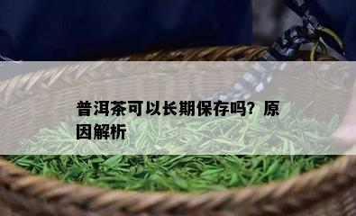 普洱茶可以长期保存吗？原因解析