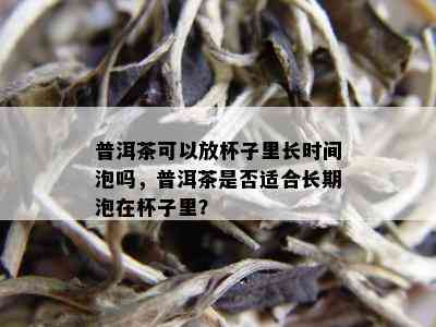 普洱茶可以放杯子里长时间泡吗，普洱茶是否适合长期泡在杯子里？