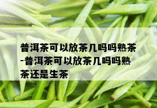 普洱茶可以放茶几吗吗熟茶-普洱茶可以放茶几吗吗熟茶还是生茶