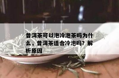 普洱茶可以泡冷泡茶吗为什么，普洱茶适合冷泡吗？解析原因