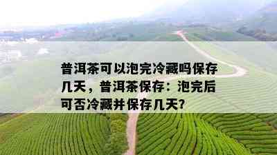 普洱茶可以泡完冷藏吗保存几天，普洱茶保存：泡完后可否冷藏并保存几天？