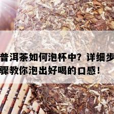 普洱茶如何泡杯中？详细步骤教你泡出好喝的口感！