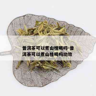 普洱茶可以煮山楂喝吗-普洱茶可以煮山楂喝吗功效