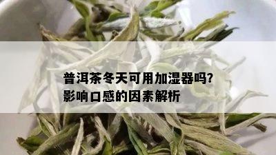 普洱茶冬天可用加湿器吗？影响口感的因素解析