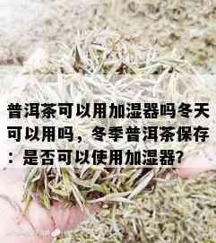 普洱茶可以用加湿器吗冬天可以用吗，冬季普洱茶保存：是否可以使用加湿器？