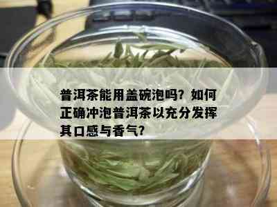 普洱茶能用盖碗泡吗？如何正确冲泡普洱茶以充分发挥其口感与香气？