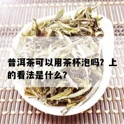 普洱茶可以用茶杯泡吗？上的看法是什么？