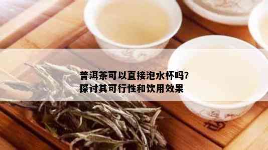 普洱茶可以直接泡水杯吗？探讨其可行性和饮用效果