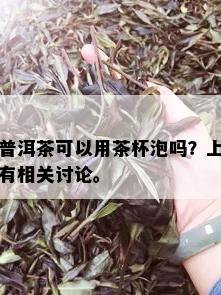 普洱茶可以用茶杯泡吗？上有相关讨论。