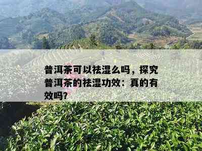 普洱茶可以祛湿么吗，探究普洱茶的祛湿功效：真的有效吗？