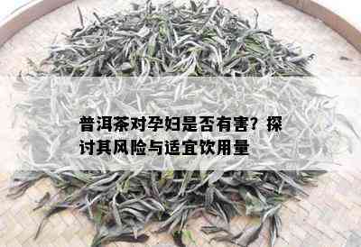 普洱茶对孕妇是否有害？探讨其风险与适宜饮用量