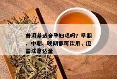 普洱茶适合孕妇喝吗？早期、中期、晚期都可饮用，但需注意适量