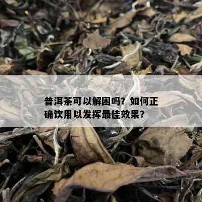 普洱茶可以解困吗？如何正确饮用以发挥更佳效果？