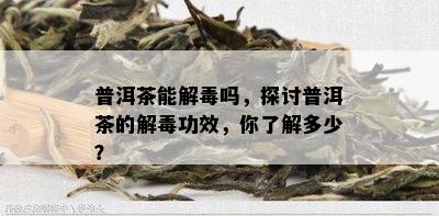 普洱茶能解吗，探讨普洱茶的解功效，你了解多少？