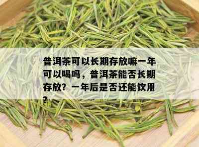 普洱茶可以长期存放嘛一年可以喝吗，普洱茶能否长期存放？一年后是否还能饮用？