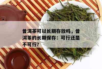 普洱茶可以长期存放吗，普洱茶的长期保存：可行还是不可行？