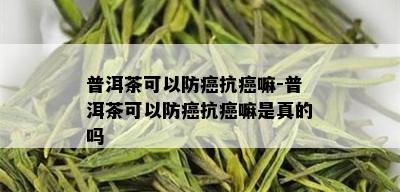 普洱茶可以防癌抗癌嘛-普洱茶可以防癌抗癌嘛是真的吗