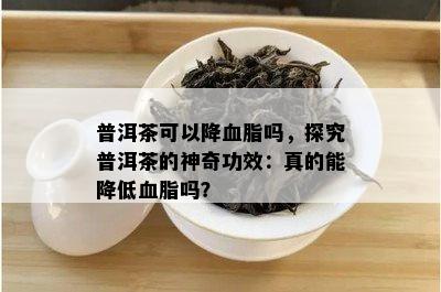 普洱茶可以降血脂吗，探究普洱茶的神奇功效：真的能降低血脂吗？