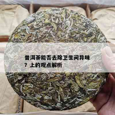 普洱茶能否去除卫生间异味？上的观点解析