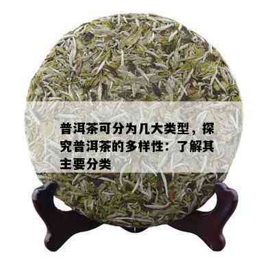 普洱茶可分为几大类型，探究普洱茶的多样性：了解其主要分类