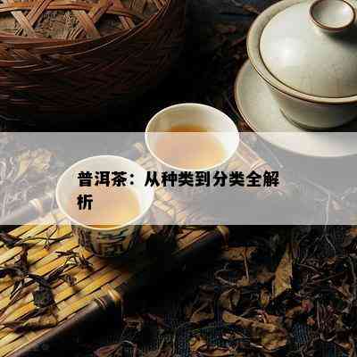 普洱茶：从种类到分类全解析