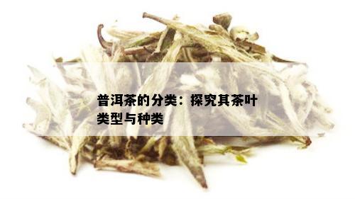 普洱茶的分类：探究其茶叶类型与种类