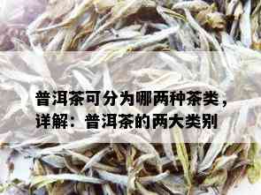 普洱茶可分为哪两种茶类，详解：普洱茶的两大类别