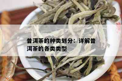 普洱茶的种类划分：详解普洱茶的各类类型