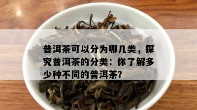 普洱茶可以分为哪几类，探究普洱茶的分类：你了解多少种不同的普洱茶？