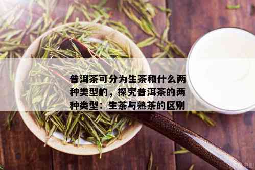 普洱茶可分为生茶和什么两种类型的，探究普洱茶的两种类型：生茶与熟茶的区别