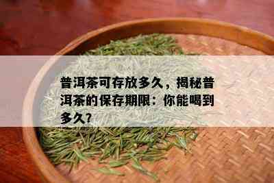 普洱茶可存放多久，揭秘普洱茶的保存期限：你能喝到多久？