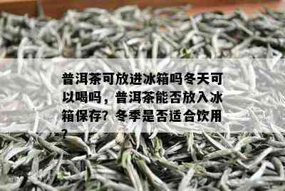 普洱茶可放进冰箱吗冬天可以喝吗，普洱茶能否放入冰箱保存？冬季是否适合饮用？