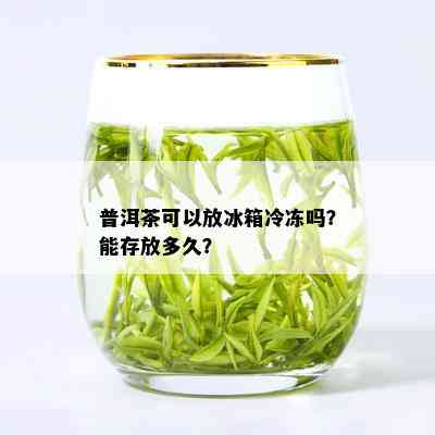 普洱茶可以放冰箱冷冻吗？能存放多久？