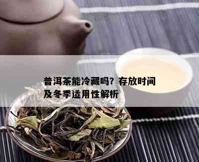 普洱茶能冷藏吗？存放时间及冬季适用性解析