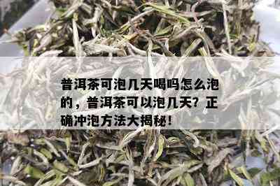 普洱茶可泡几天喝吗怎么泡的，普洱茶可以泡几天？正确冲泡方法大揭秘！