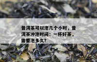 普洱茶可以泡几个小时，普洱茶冲泡时间：一杯好茶，需要泡多久？