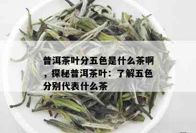 普洱茶叶分五色是什么茶啊，探秘普洱茶叶：了解五色分别代表什么茶