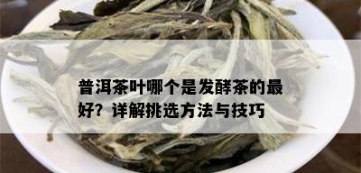 普洱茶叶哪个是发酵茶的更好？详解挑选方法与技巧