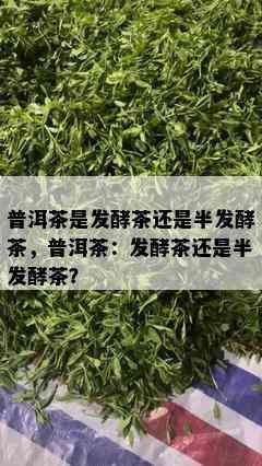 普洱茶是发酵茶还是半发酵茶，普洱茶：发酵茶还是半发酵茶？