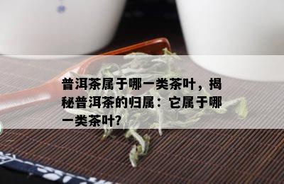 普洱茶属于哪一类茶叶，揭秘普洱茶的归属：它属于哪一类茶叶？