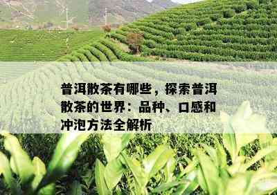 普洱散茶有哪些，探索普洱散茶的世界：品种、口感和冲泡方法全解析