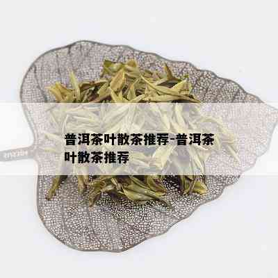 普洱茶叶散茶推荐-普洱茶叶散茶推荐