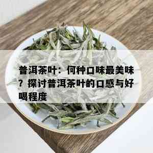 普洱茶叶：何种口味最美味？探讨普洱茶叶的口感与好喝程度