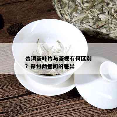 普洱茶叶片与茶梗有何区别？探讨两者间的差异