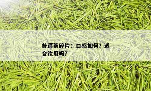 普洱茶碎片：口感如何？适合饮用吗？