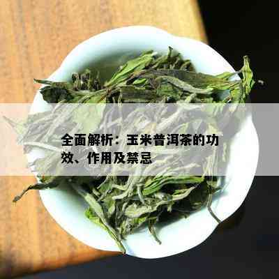 全面解析：玉米普洱茶的功效、作用及禁忌