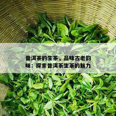 普洱茶的生茶，品味古老韵味：探索普洱茶生茶的魅力