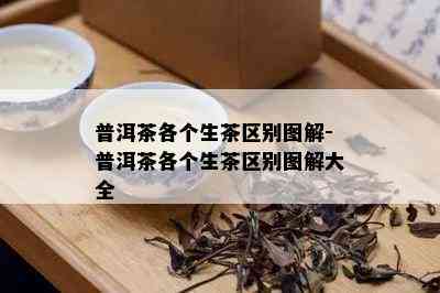 普洱茶各个生茶区别图解-普洱茶各个生茶区别图解大全