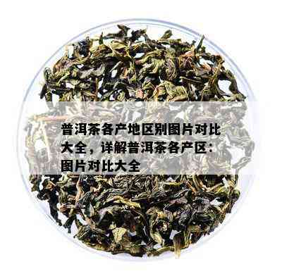 普洱茶各产地区别图片对比大全，详解普洱茶各产区：图片对比大全