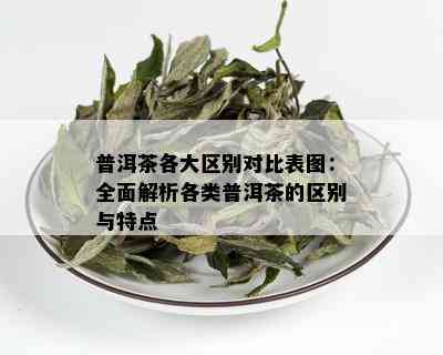 普洱茶各大区别对比表图：全面解析各类普洱茶的区别与特点